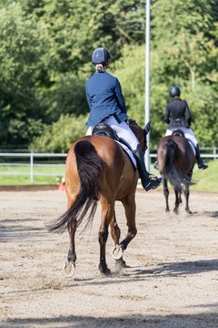 Bild 241 - Pony Akademie Turnier
